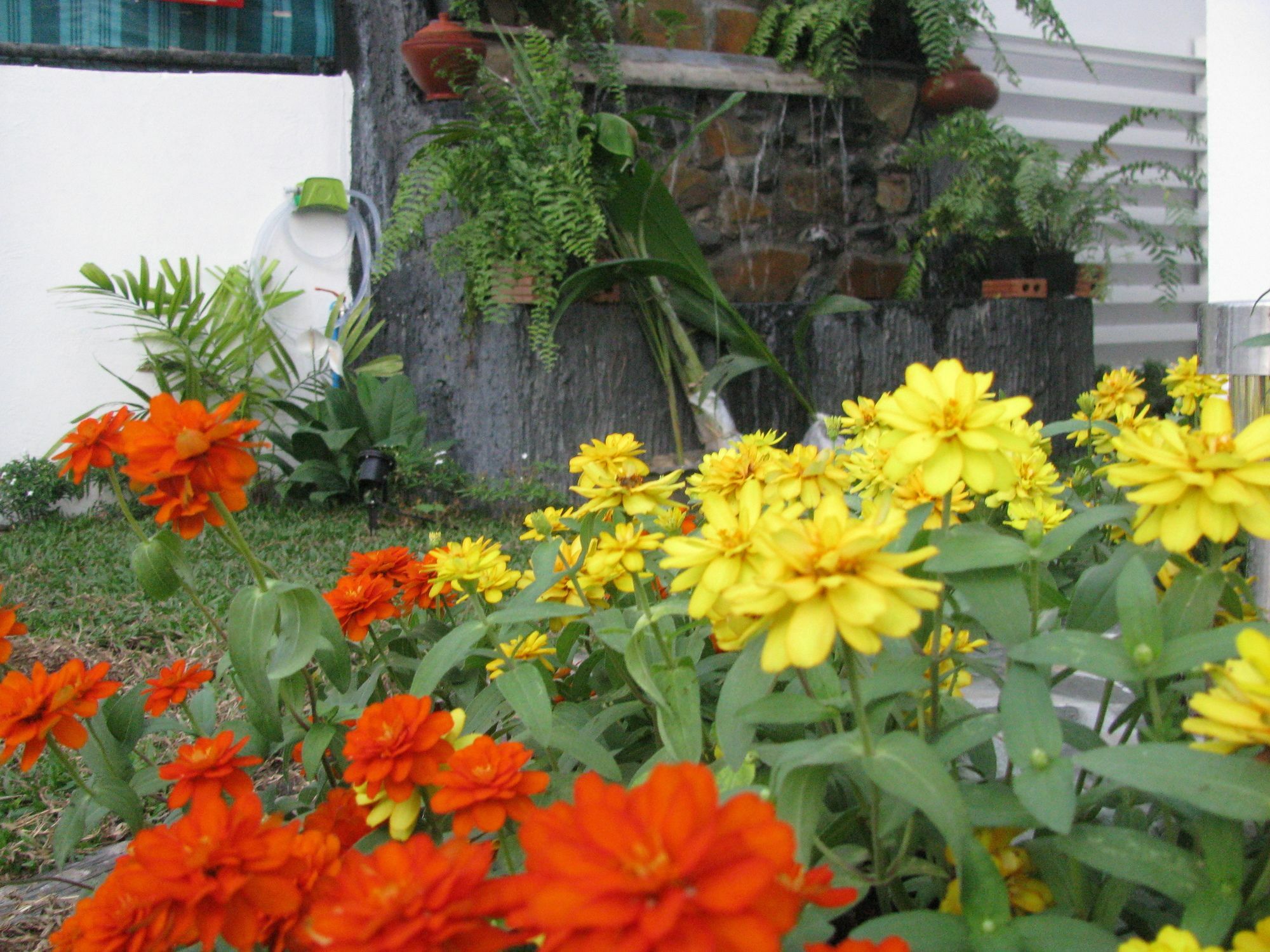 Wisma tamu Gusto House